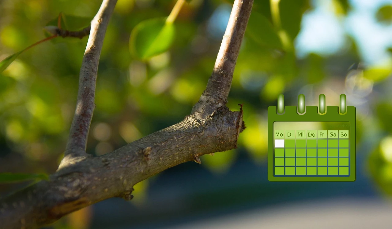 calendario potatura