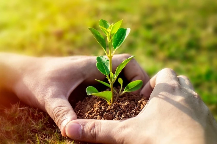 progettazione giardini roma